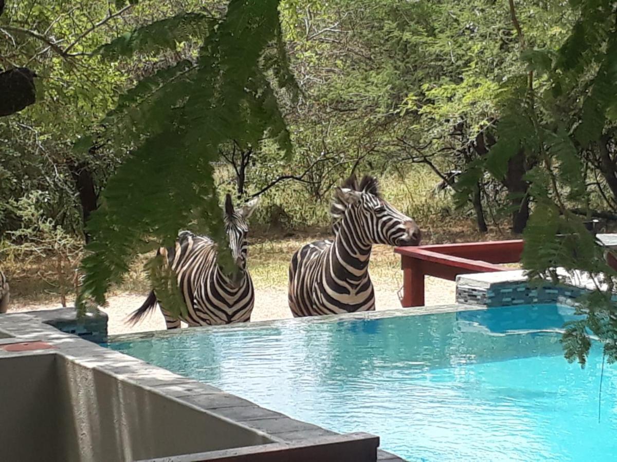 Turaco Lodge - No Loadshedding Marloth Park Luaran gambar