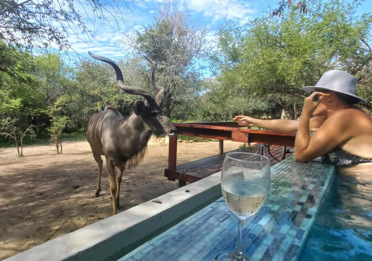 Turaco Lodge - No Loadshedding Marloth Park Luaran gambar